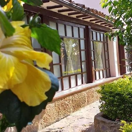 San Fernando De La Villa Villa de Leyva Eksteriør billede